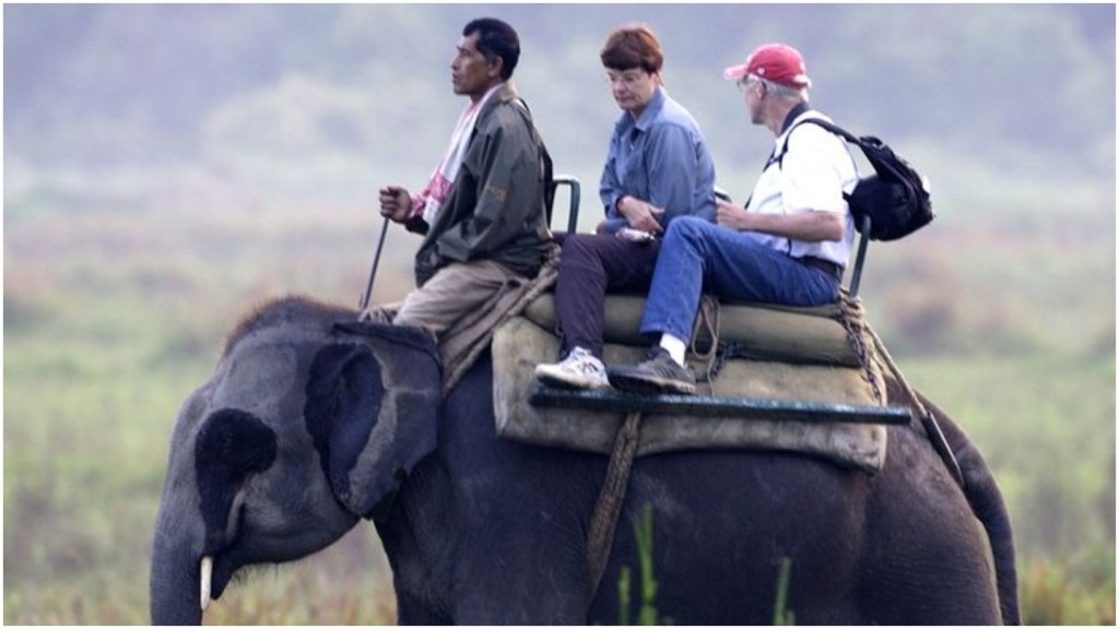 Kisah Haru Warga dan Turis di Thailand Gotong Royong Bantu Gajah Atraksi Kabur