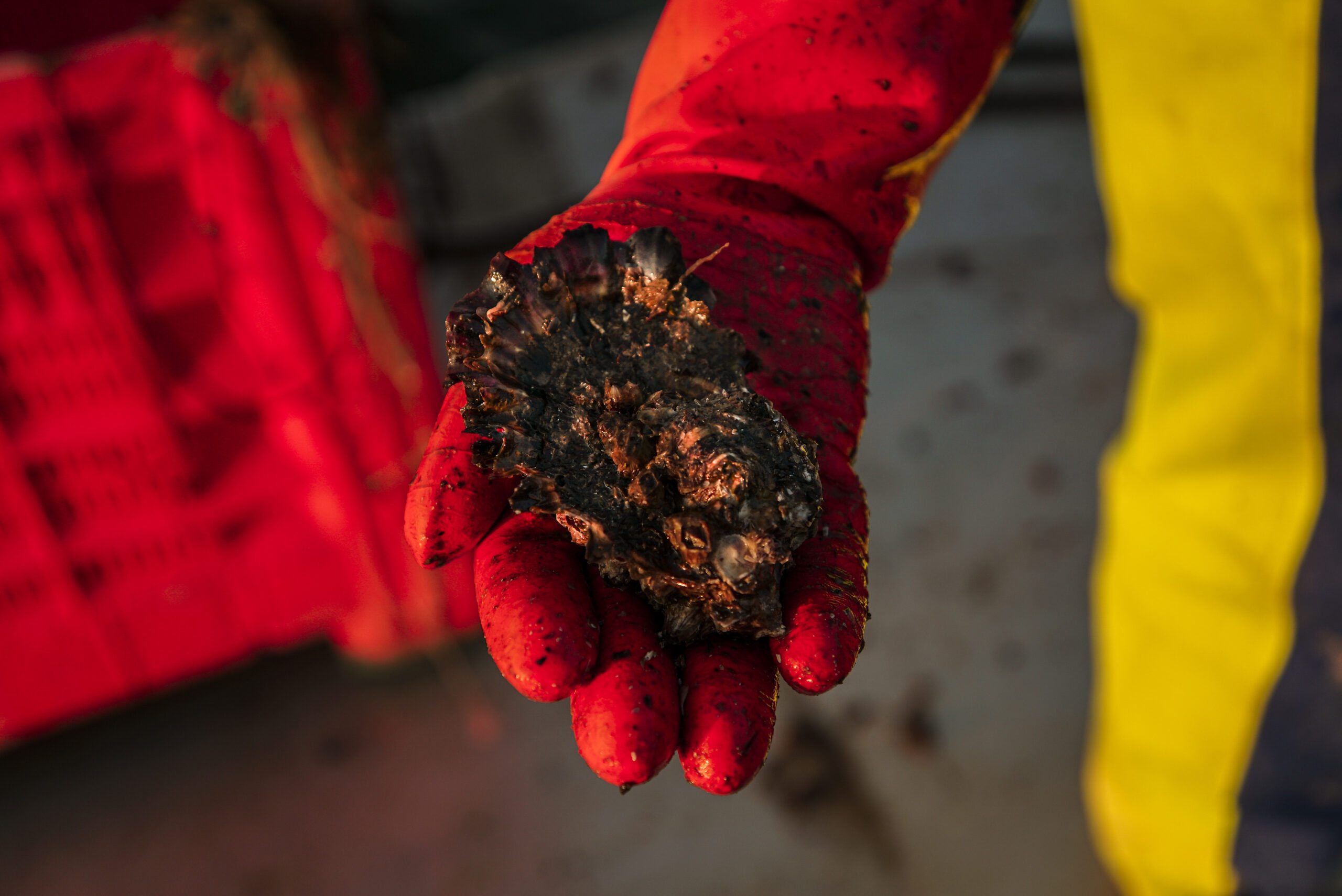 1559556503606-DSC01244