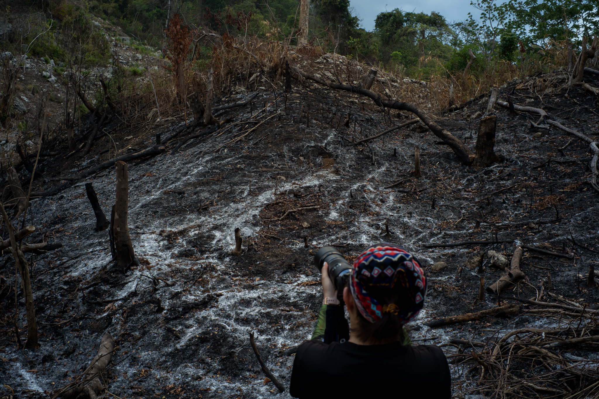 1559557112679-Philippine-Tamaraw-Count-2019-by-Martin-San-Diego-0004-07102