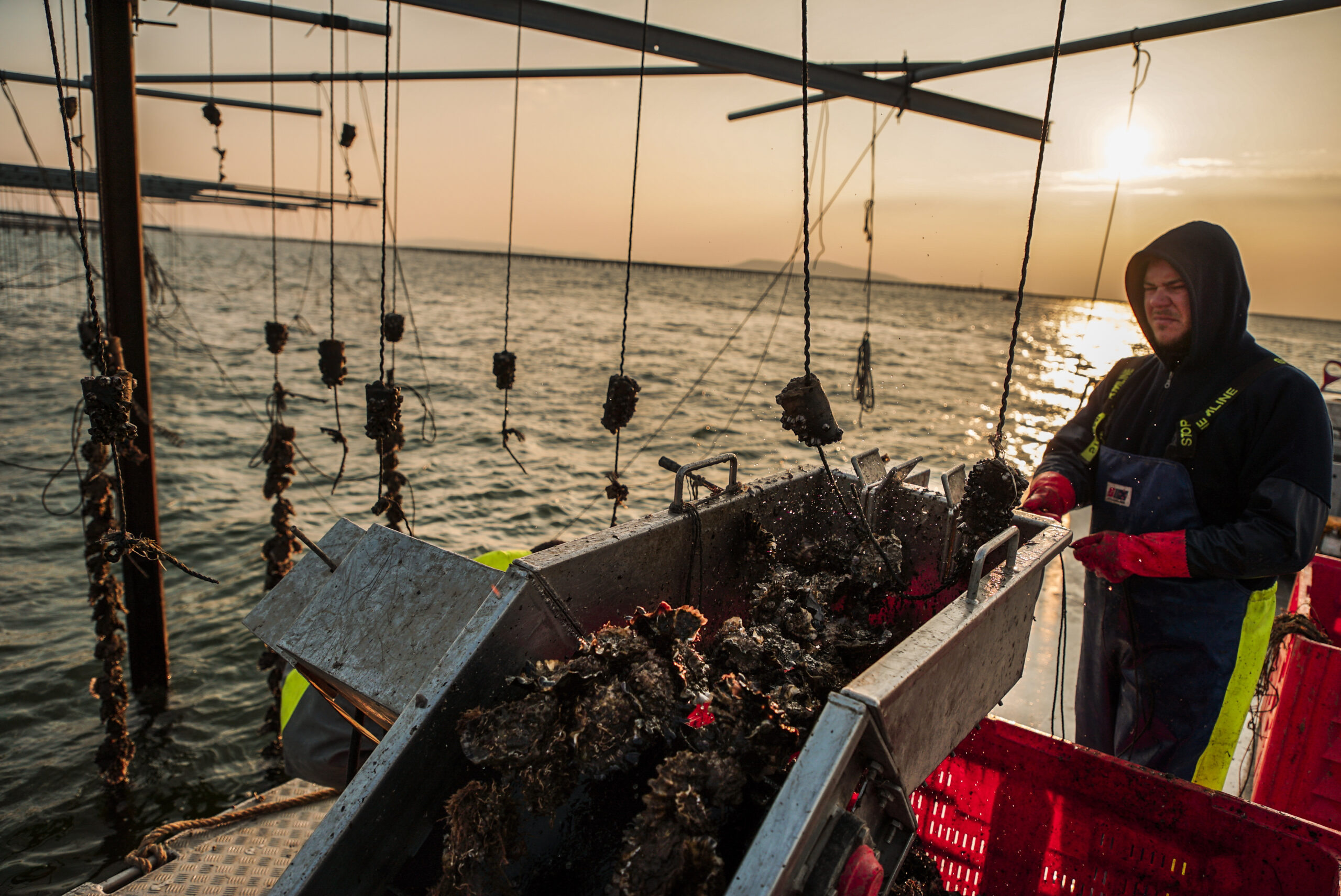 1559721492960-DSC01255