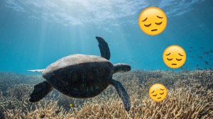 Een ‘klimaatdepressie’ bestaat en ik heb er veel last van