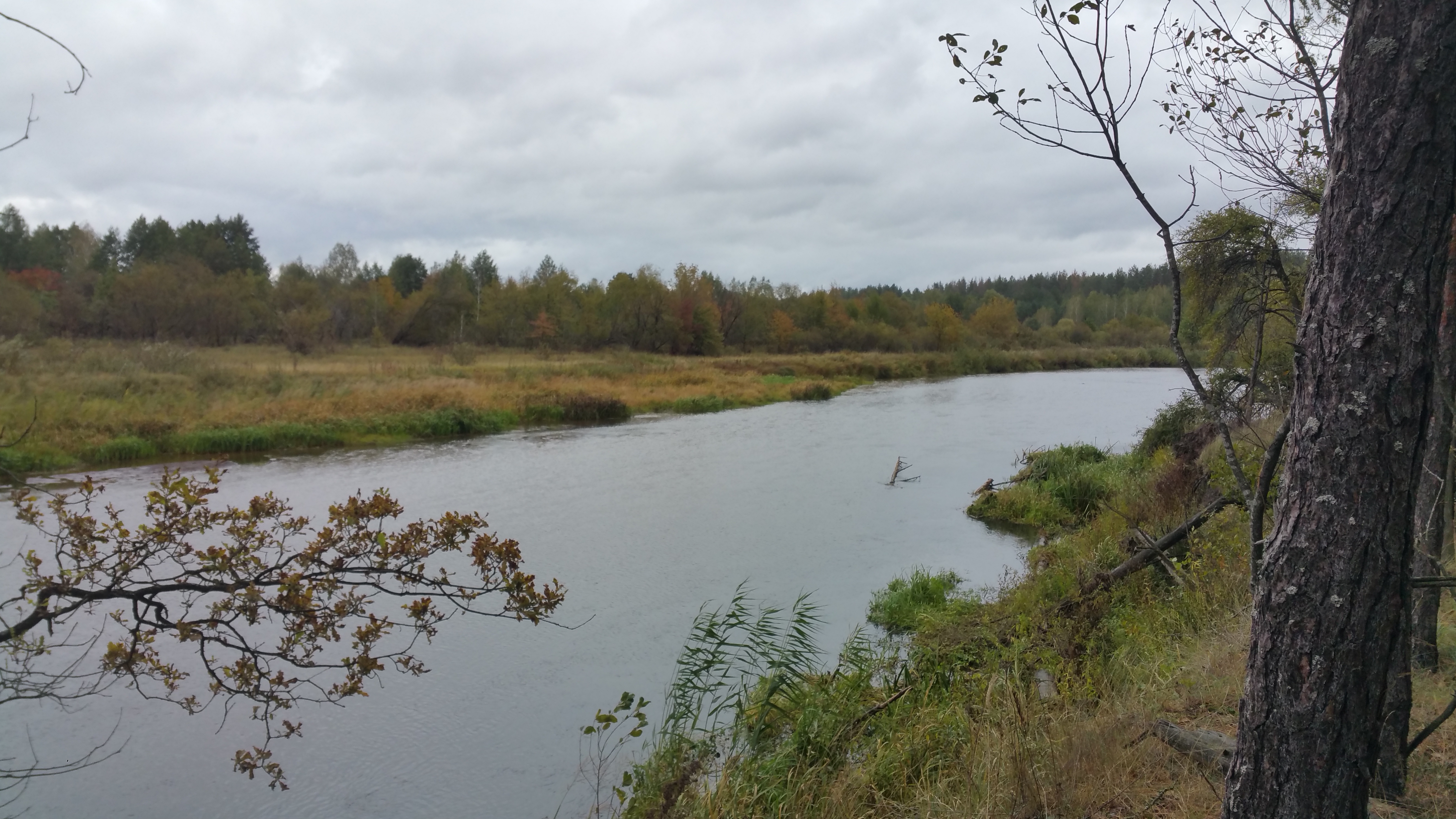 accidentul nuclear cernobil 1986 centrala nucleara reactor radiatii rau
