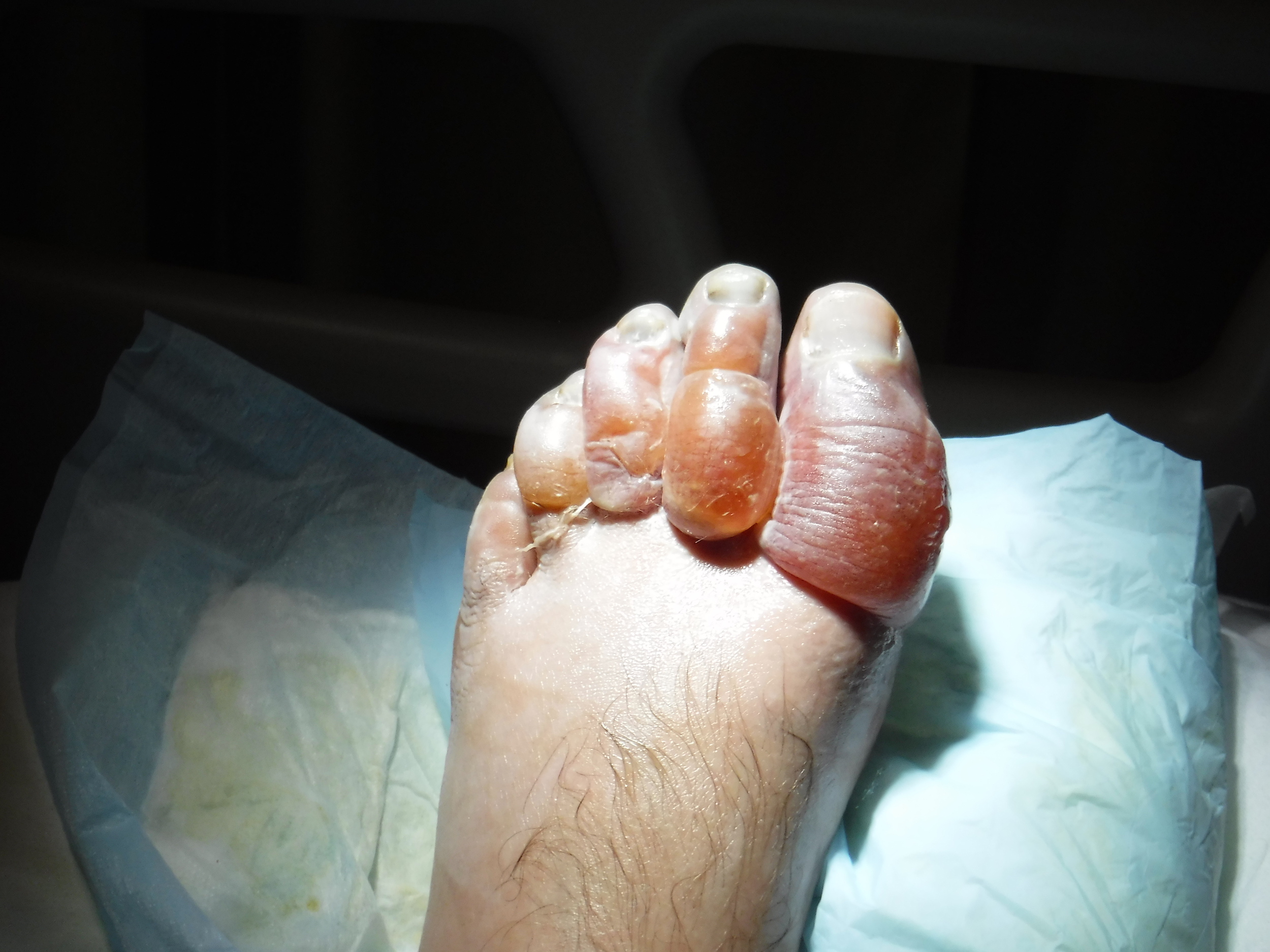 1560866433821-Yukon-047