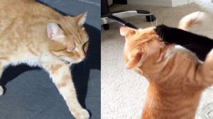 Untitled design (19)