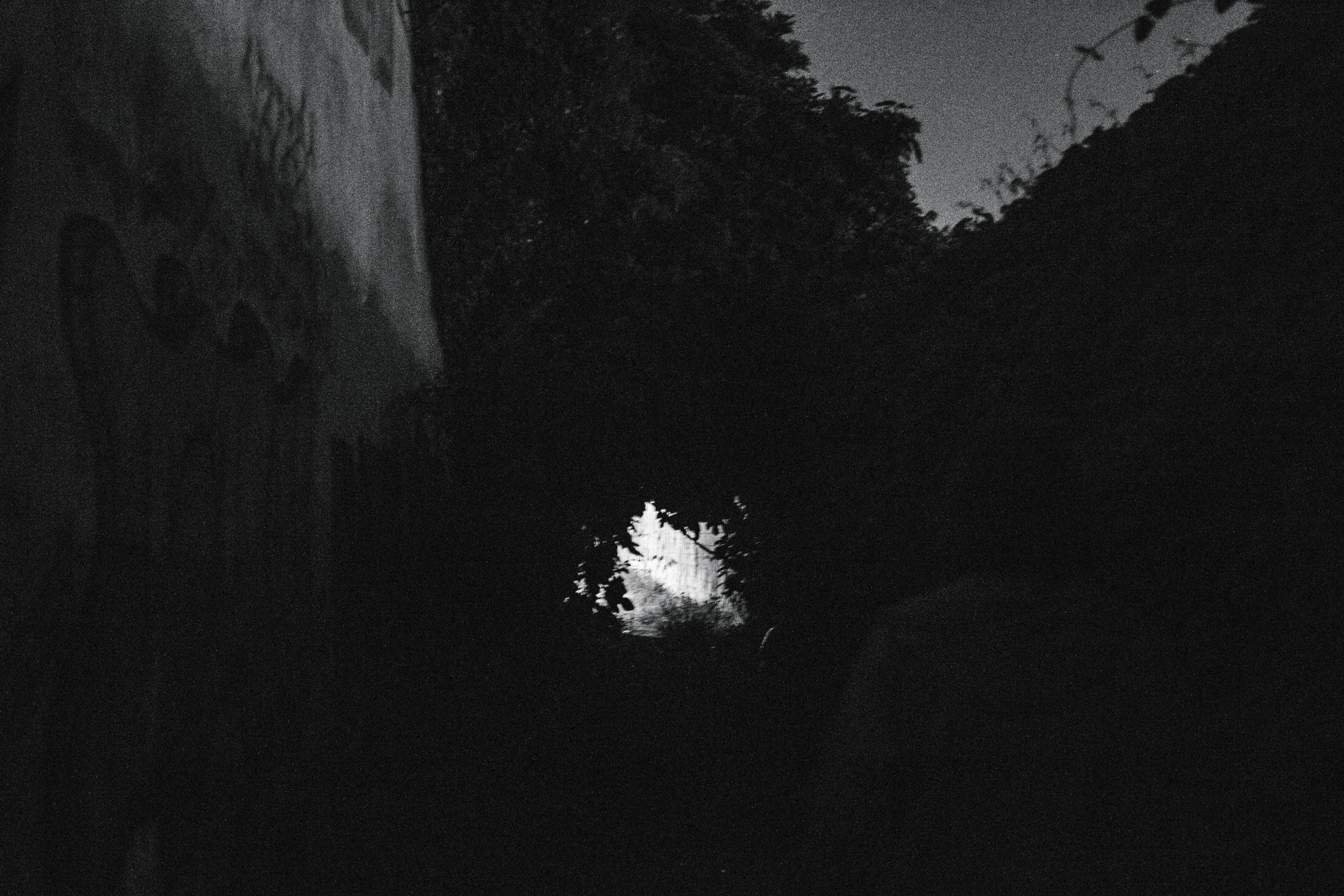 1562849979307-META_IMG_0567