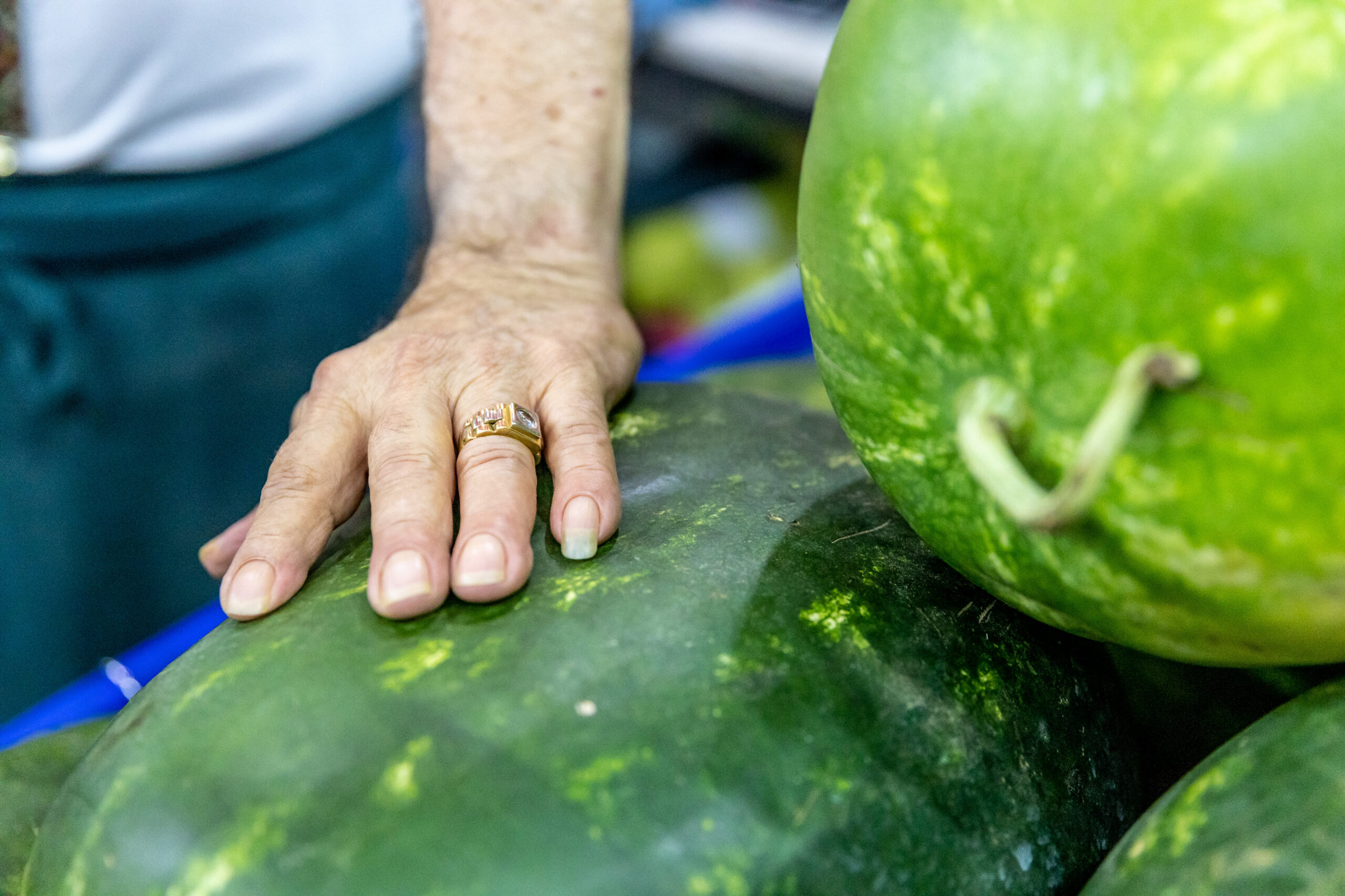 cocomeri roma tour aurelia vito