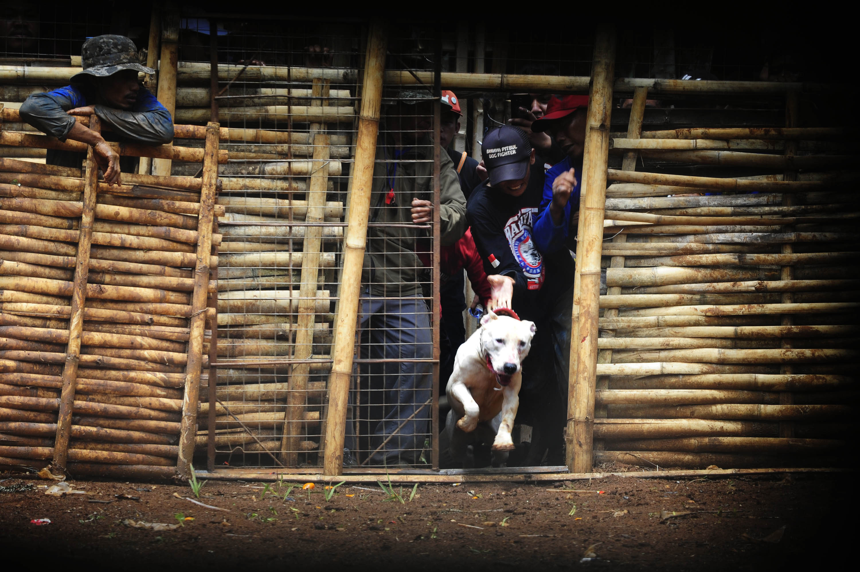 1563778094583-Bukbisj-Candra-Ismeth-Bey_Adu-Bagong-6