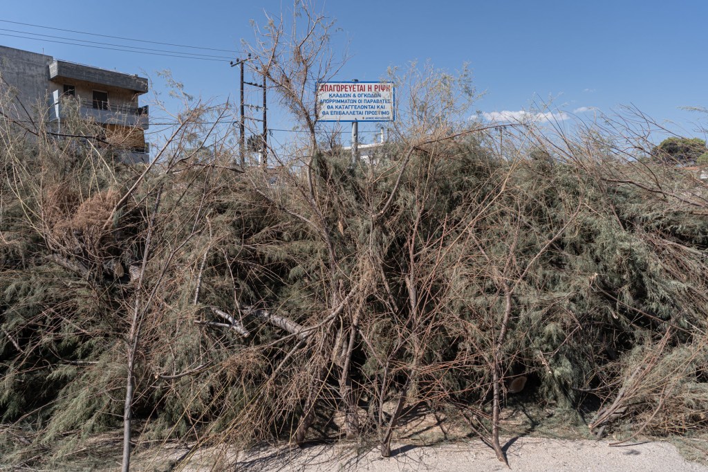 Mati_1_year_Seferoglou22