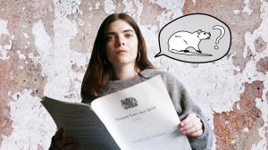 Life For Rent housing advice columnist Vicky Spratt