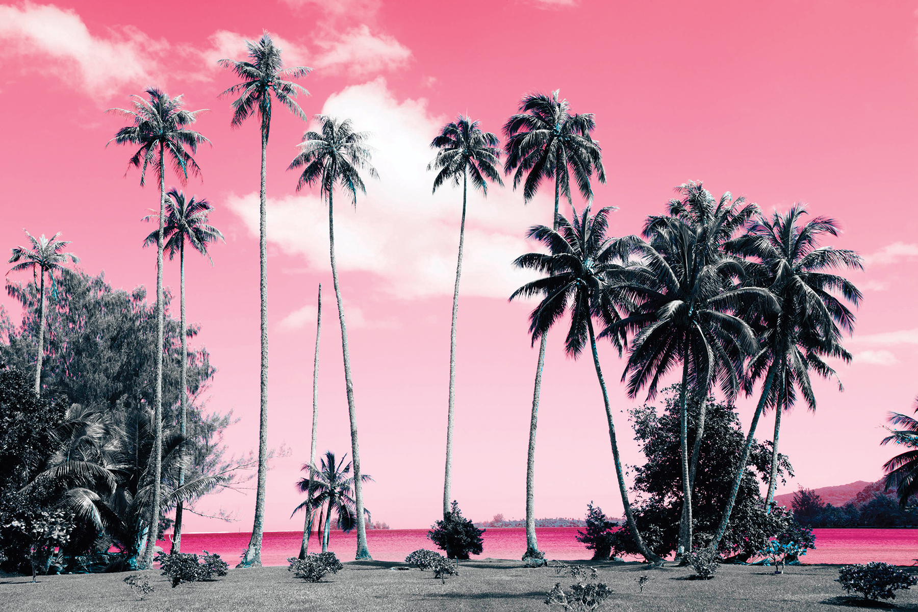 1565141248651-Paysage_Rose_225x15_300