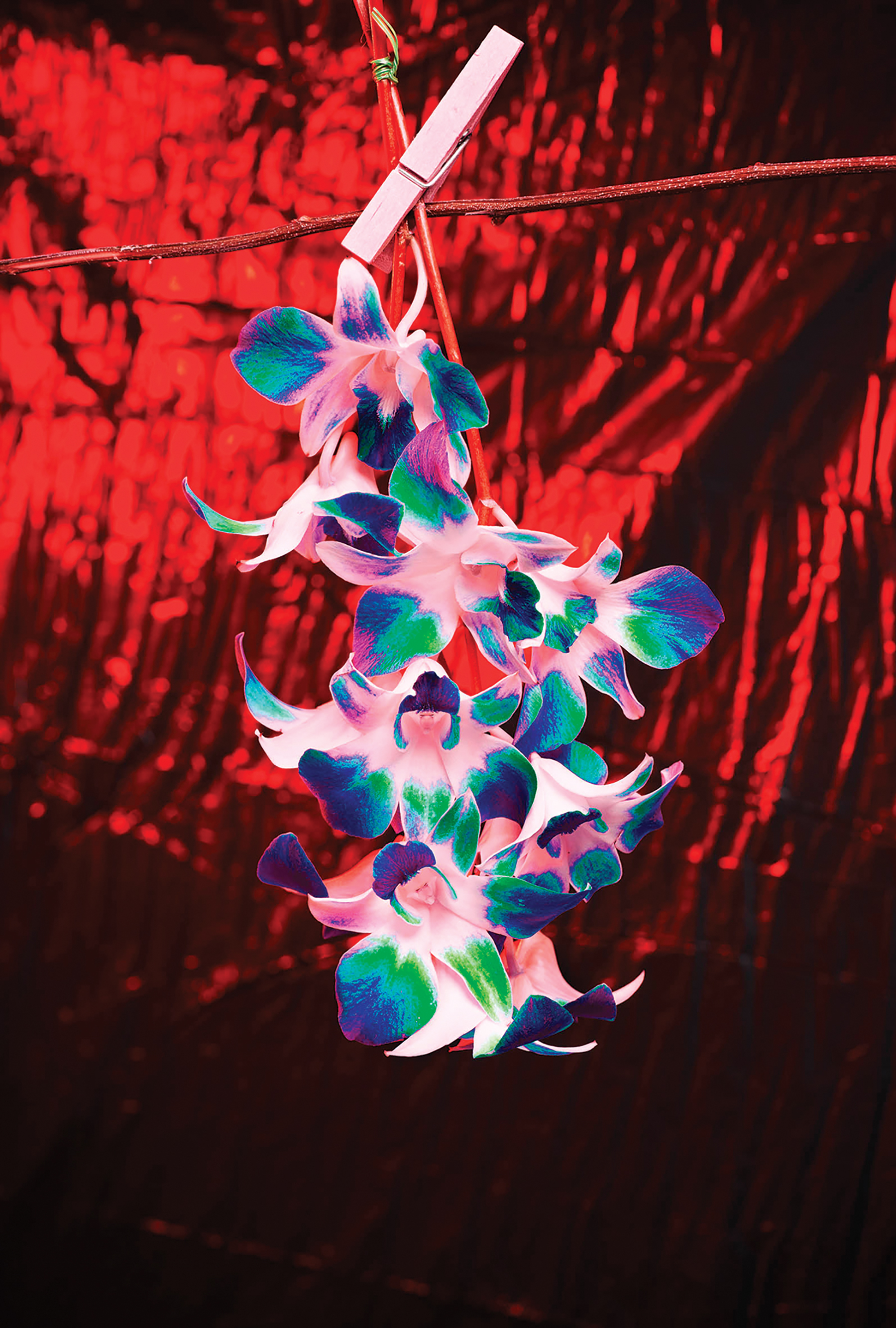 1565141656221-LesOrchideesDeLaTentation_135x20cm_300DPI_NamsaLeuba_2019_Tahiti_300