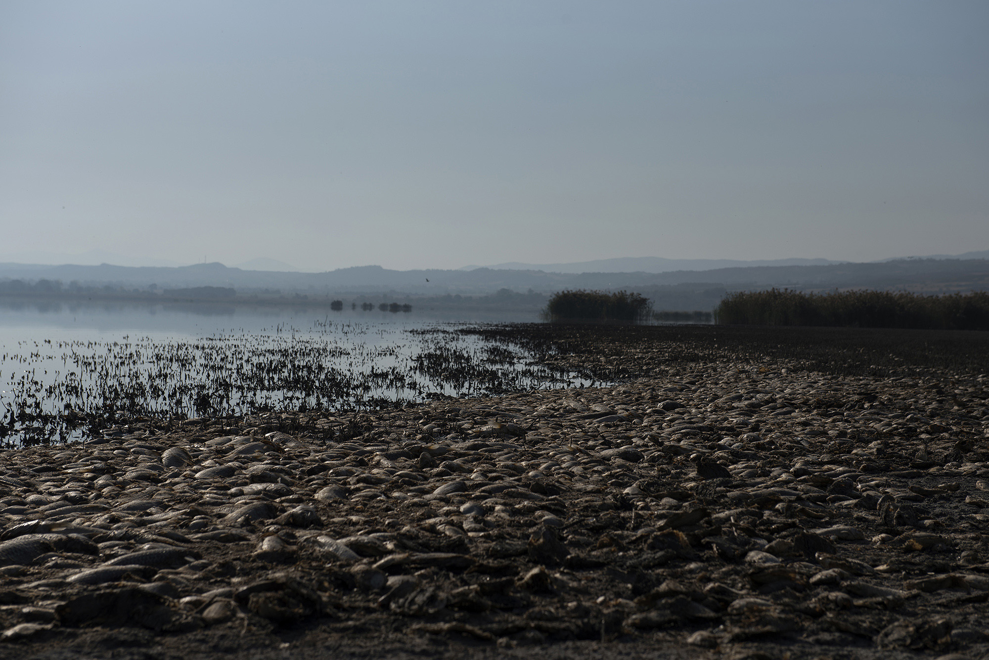 1568880316512-_AAV3912