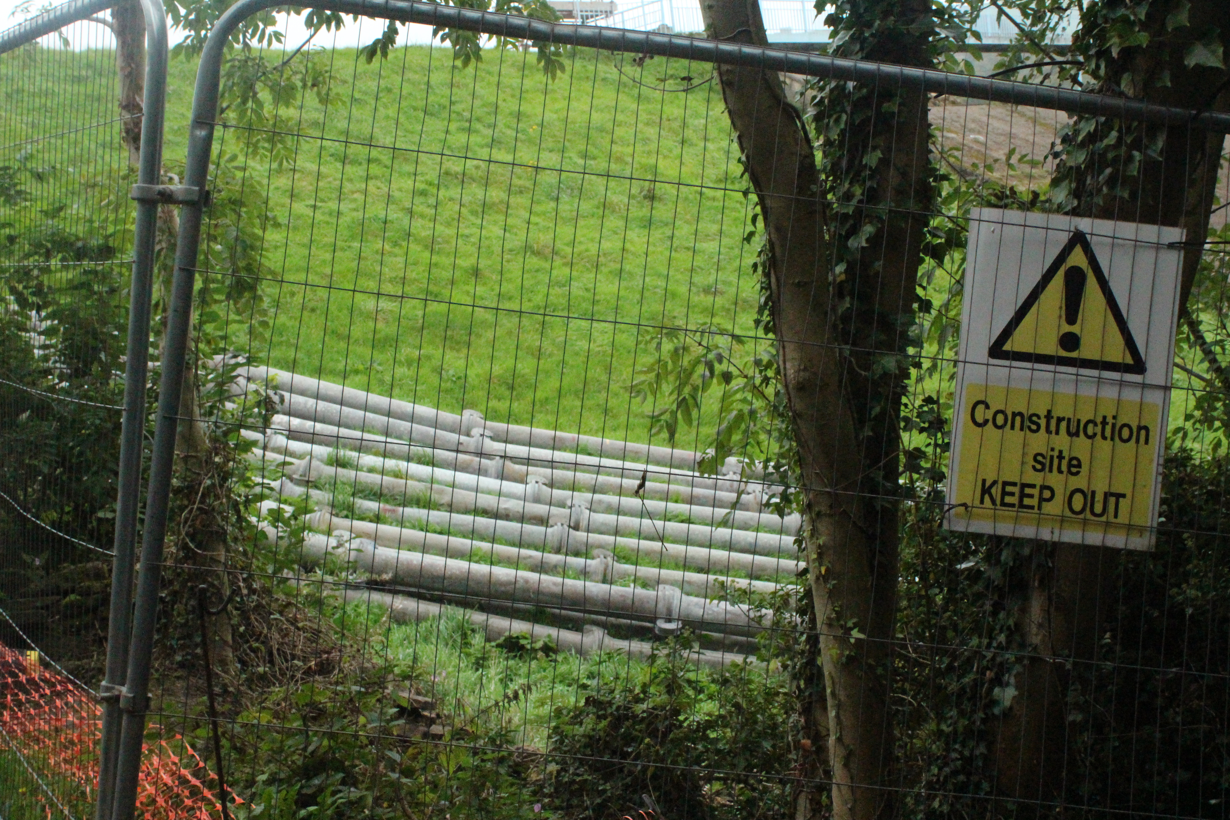 1568893401792-IMG_1135