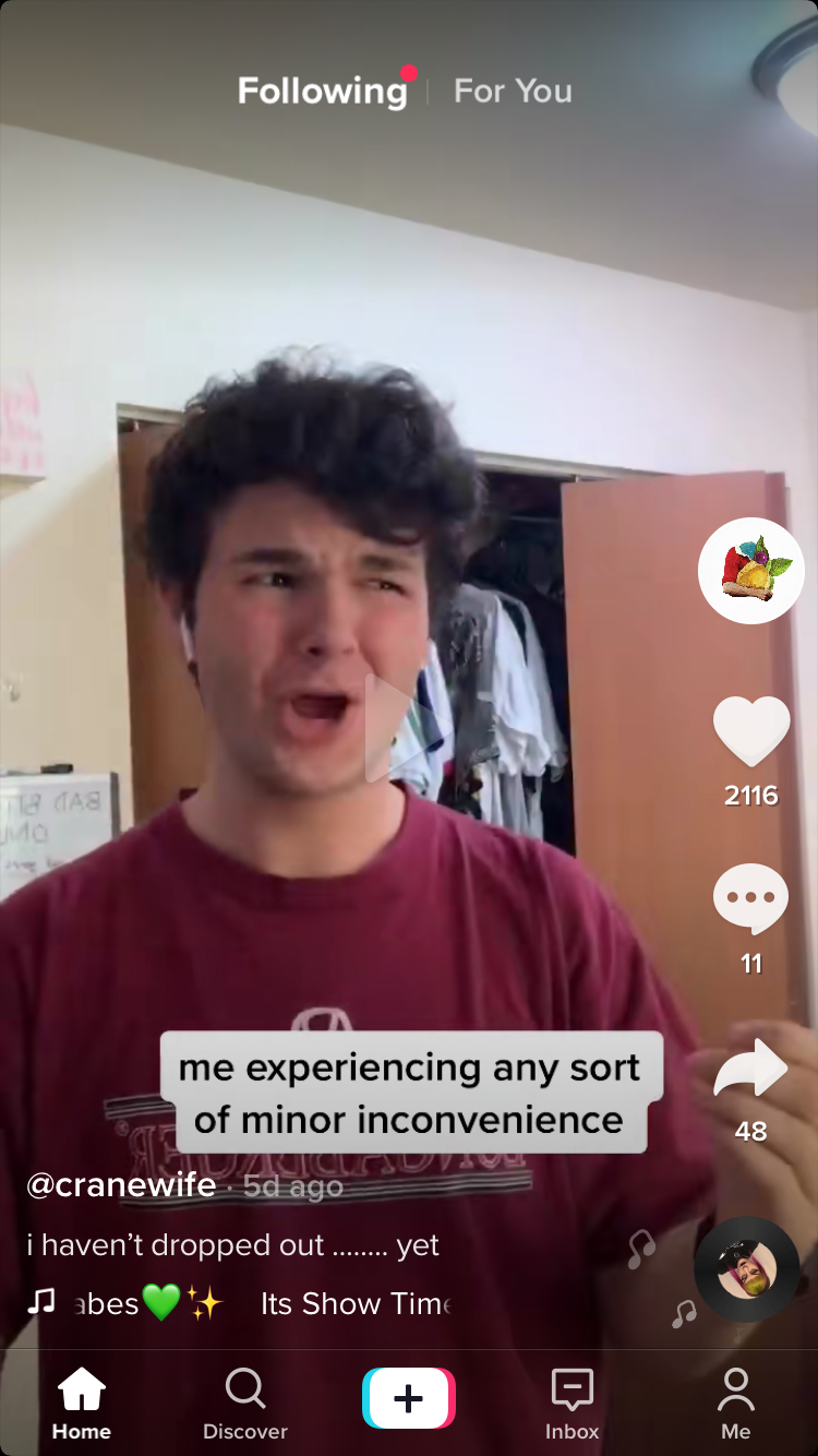 TikTok screenshot