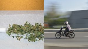 Pemuda Lamongan Naik Motor Ratusan Kilometer ke Lampung Buat Beli Ganja Agar Lebih Irit