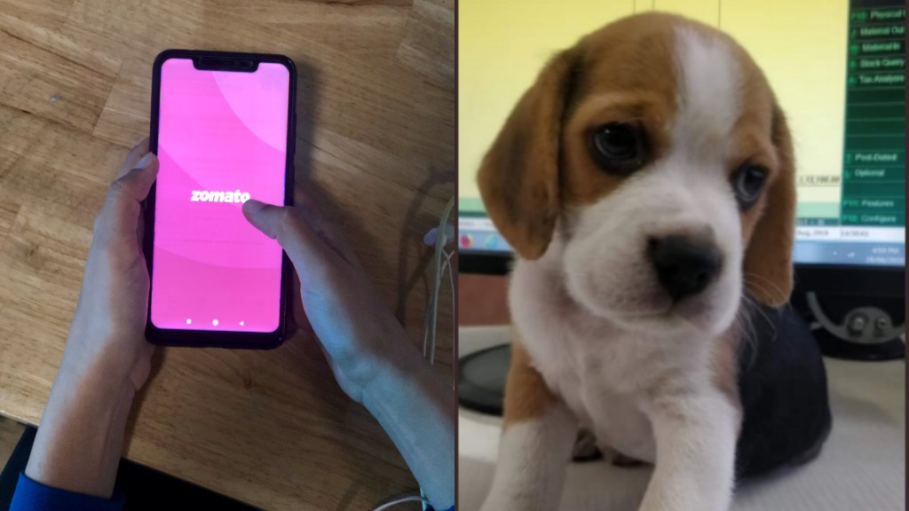 Food delivery guy kidnaps customers dog