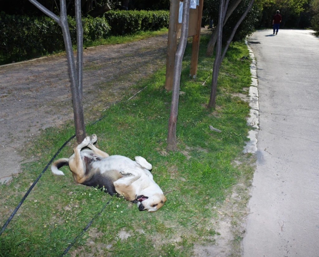 Screenshot 2019-10-11 at 21