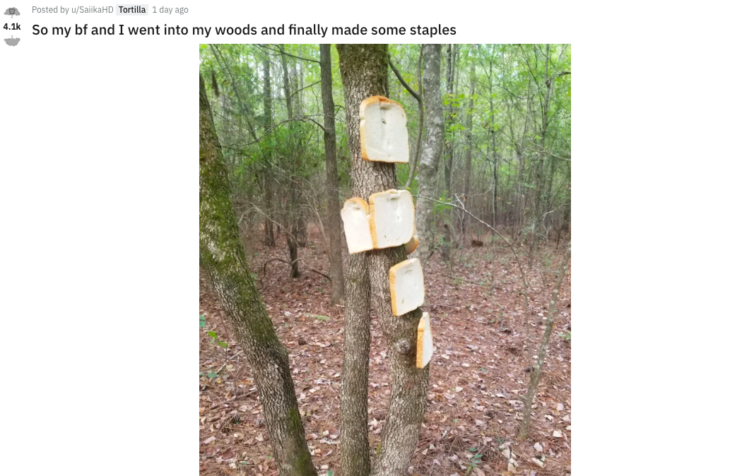 date activity go stapling bread to trees