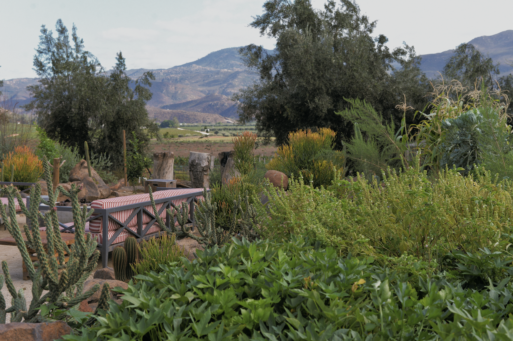 restaurante fauna, baja california