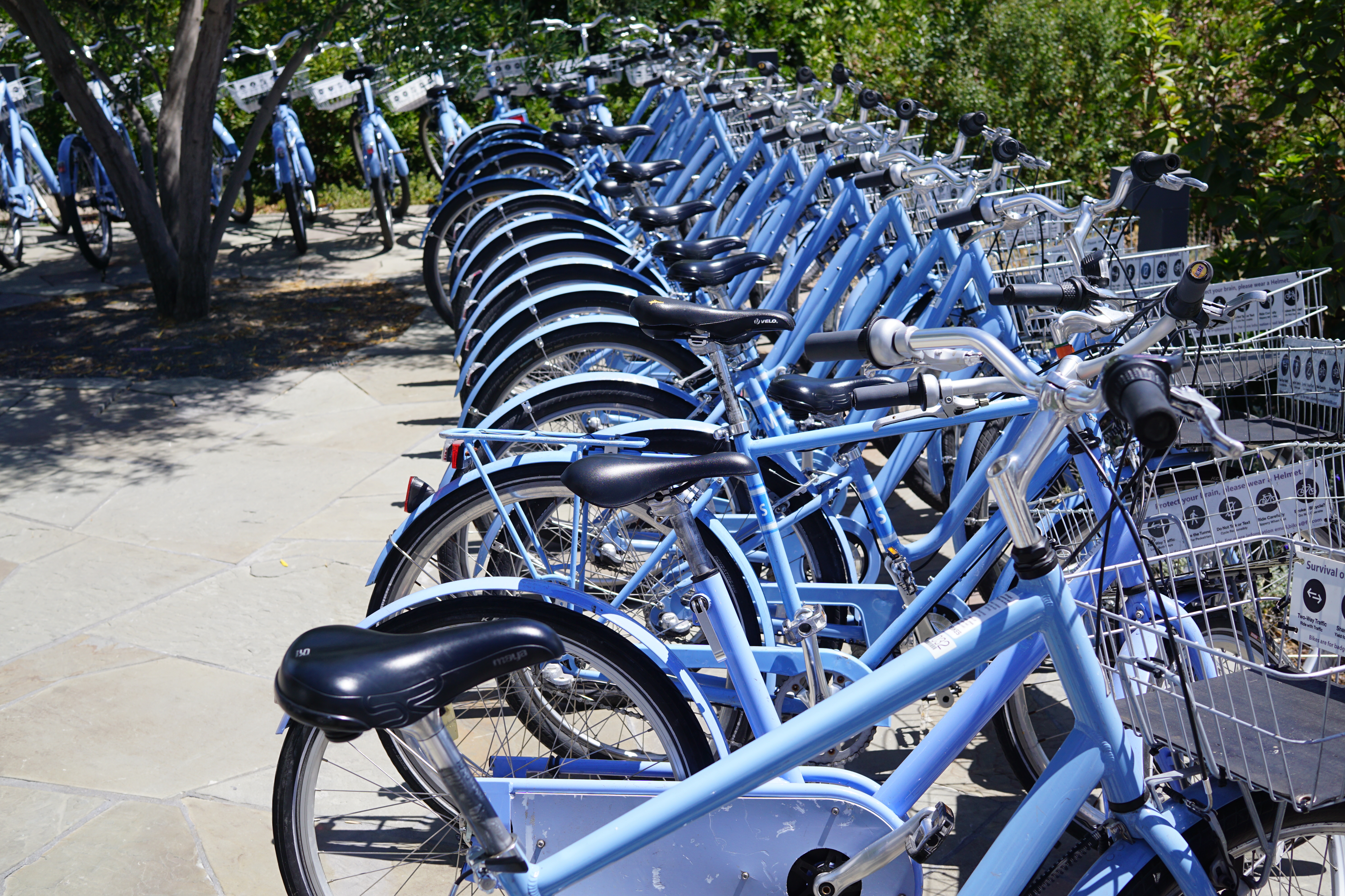 1571685876214-DSC03427