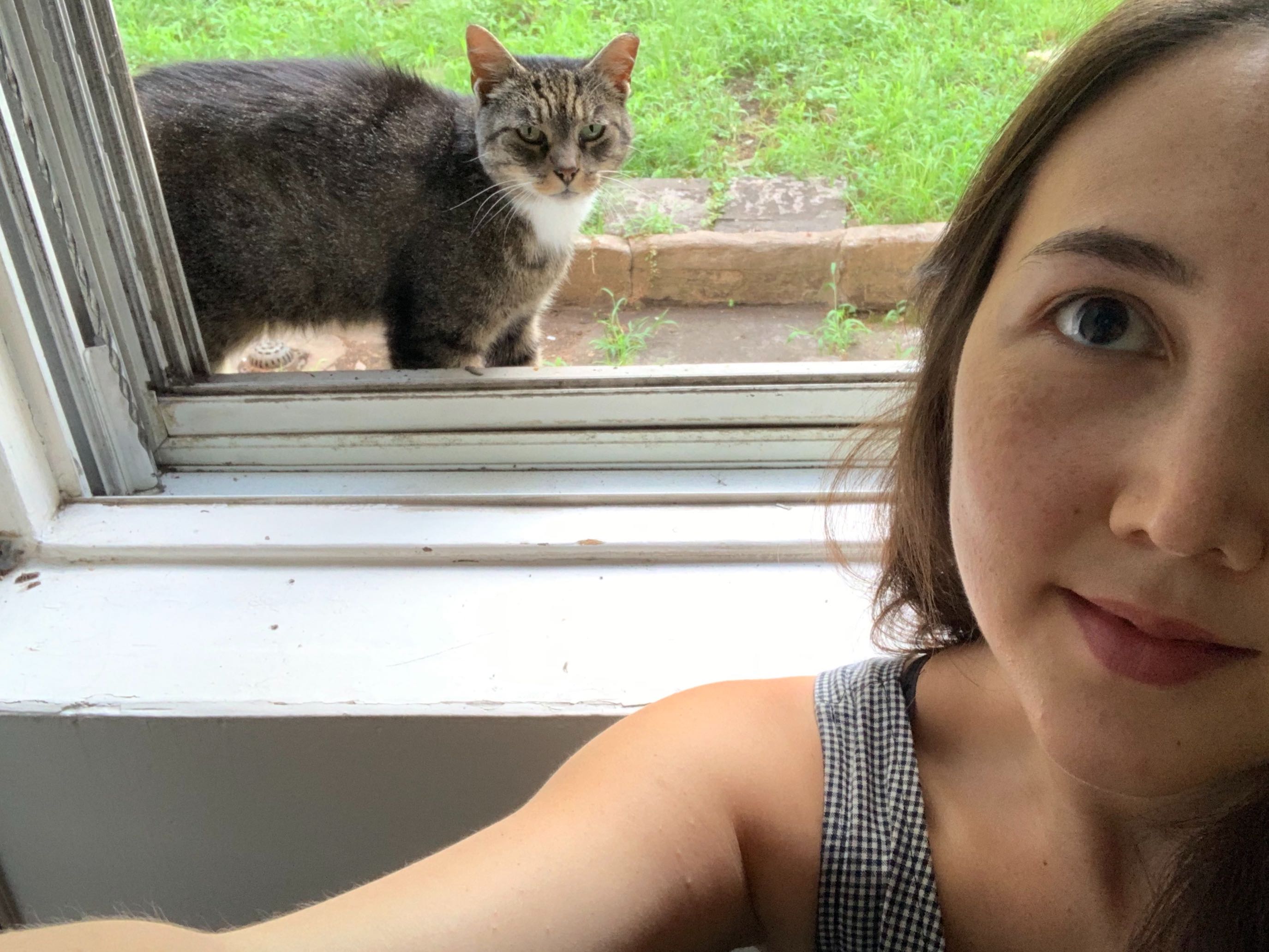 1573768631315-Image-from-iOS-9