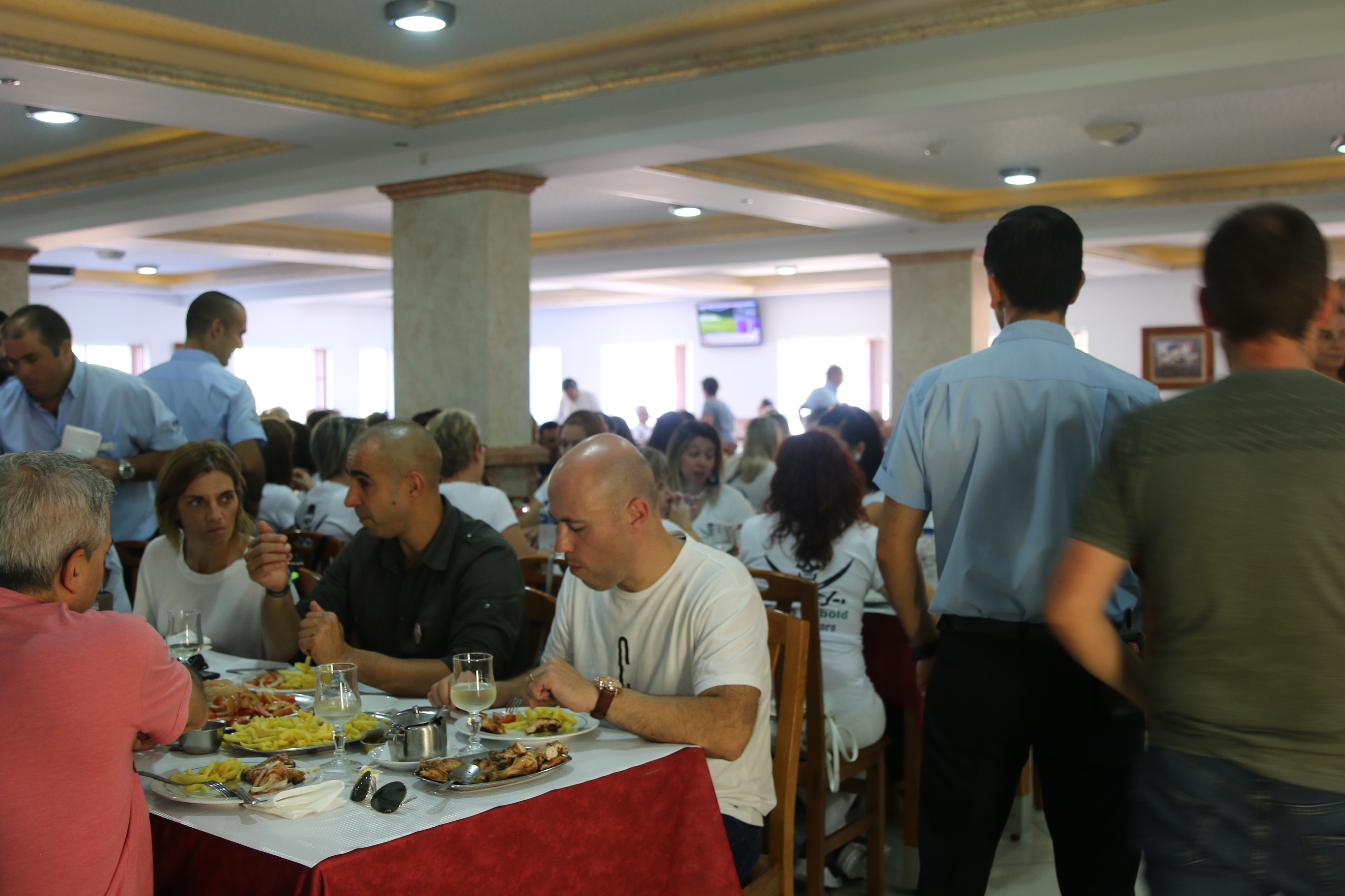 1573835304930-O-todesio-2