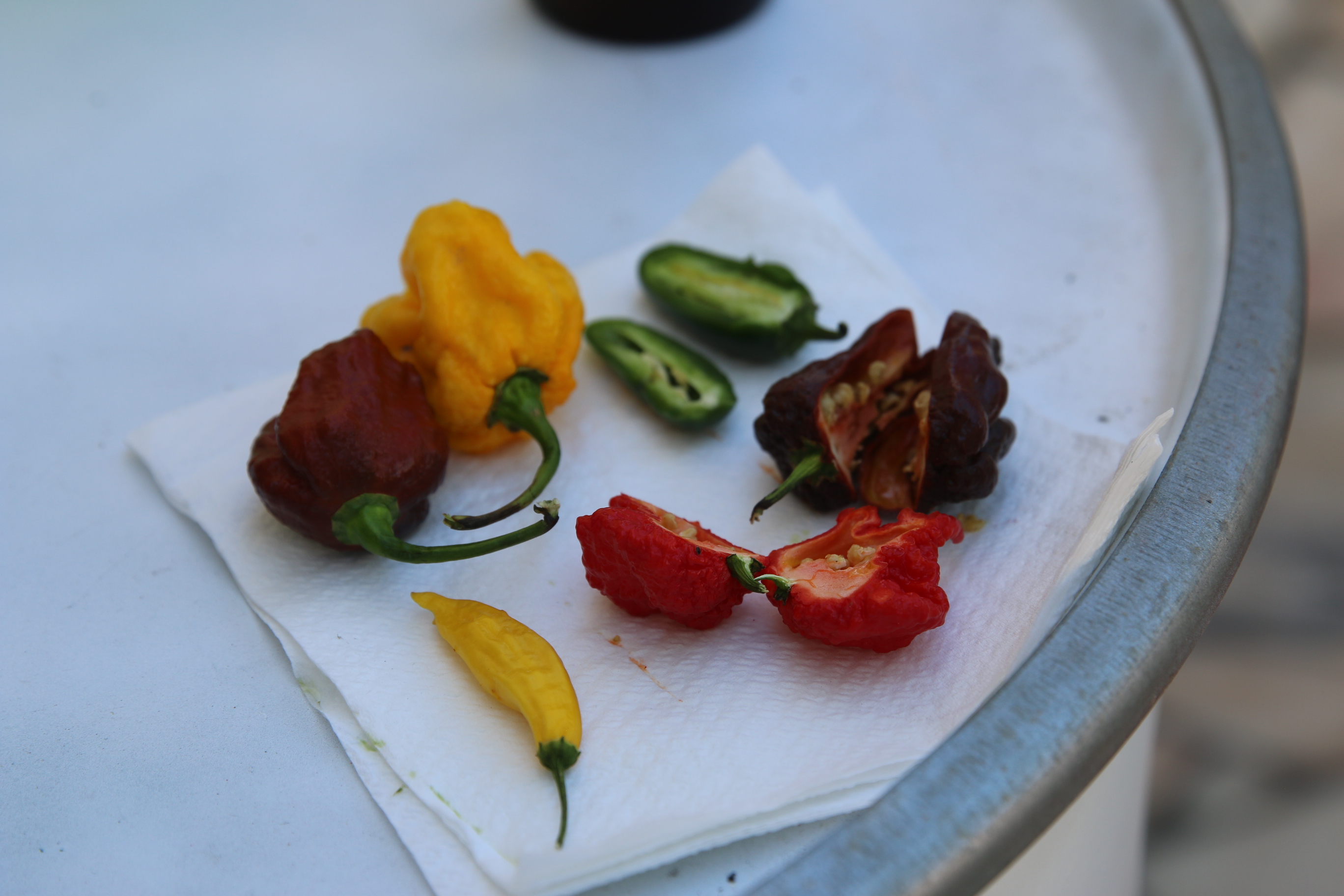 1573835551849-IMG_7890