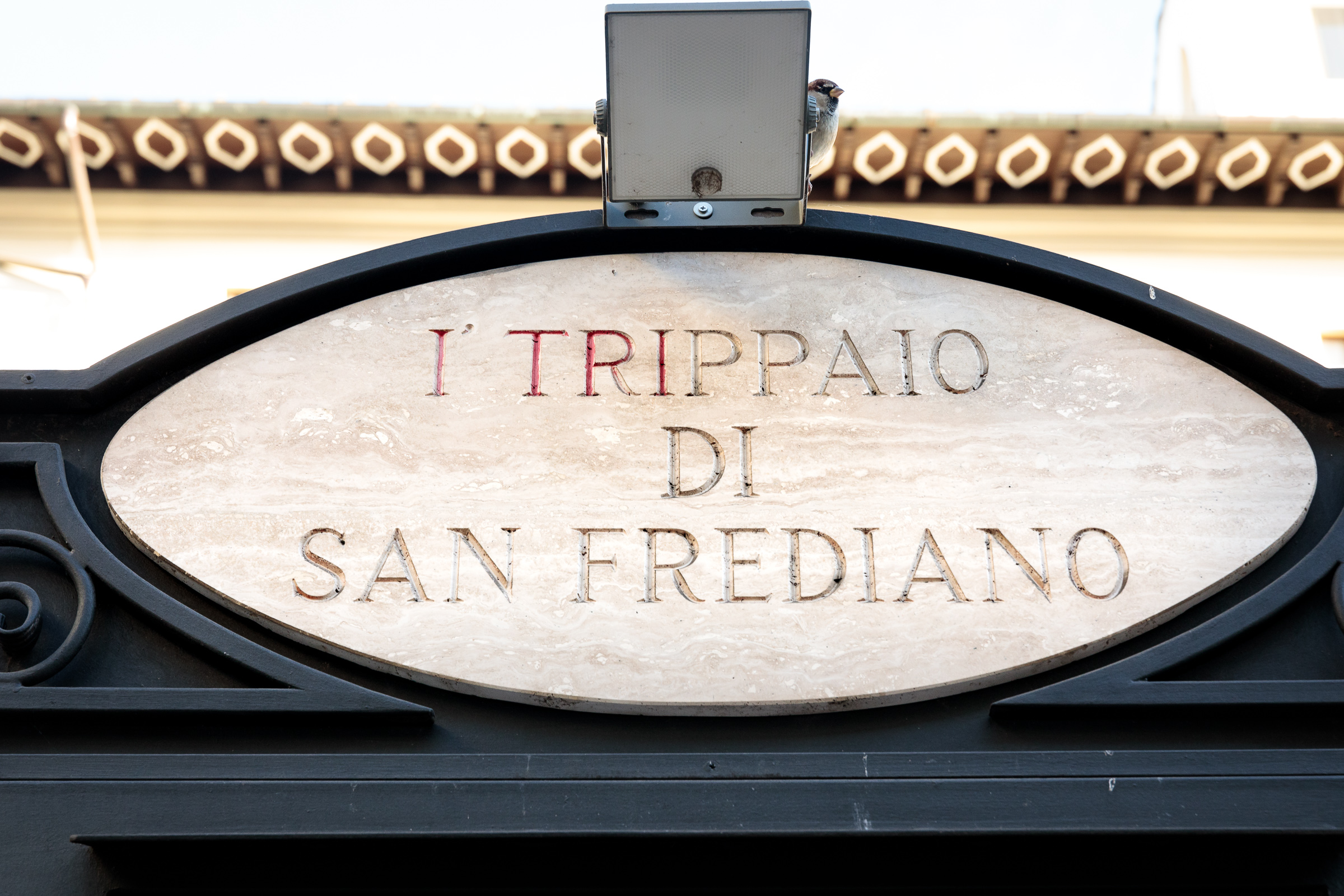 Lampredotto-firenze-150937_SANFREDIANO