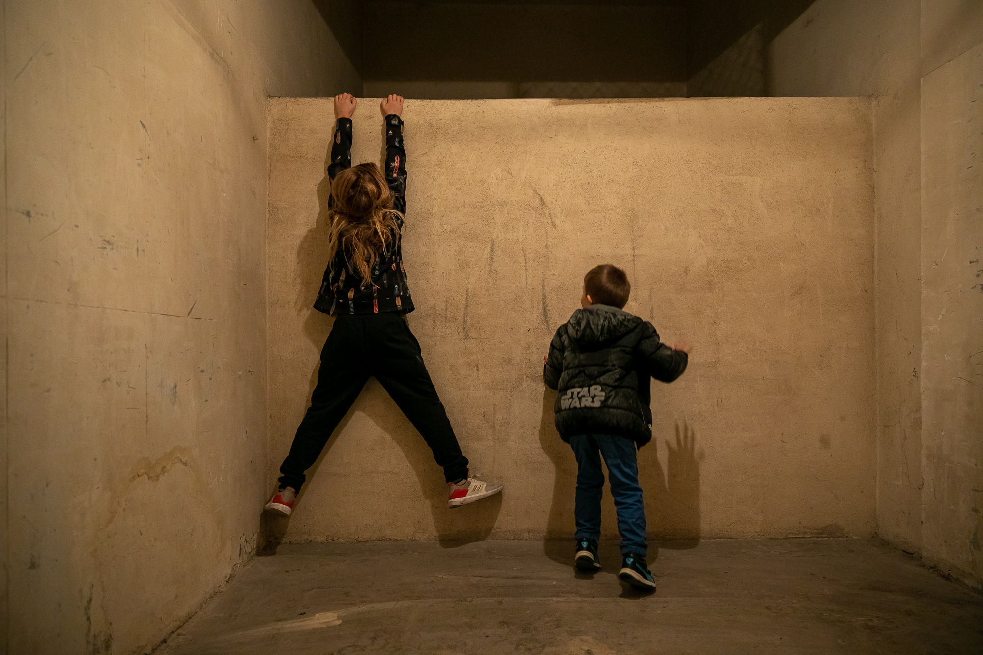 comitetul central, copii securitate, celulele securitatii, comunism