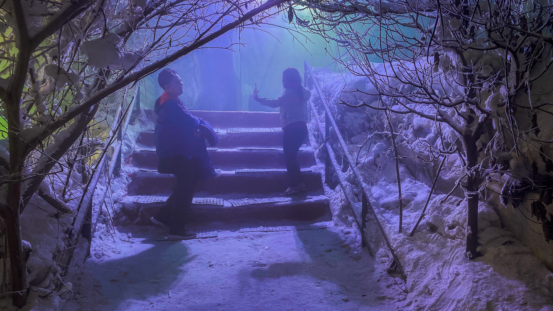 1577274250781-IMG_0827