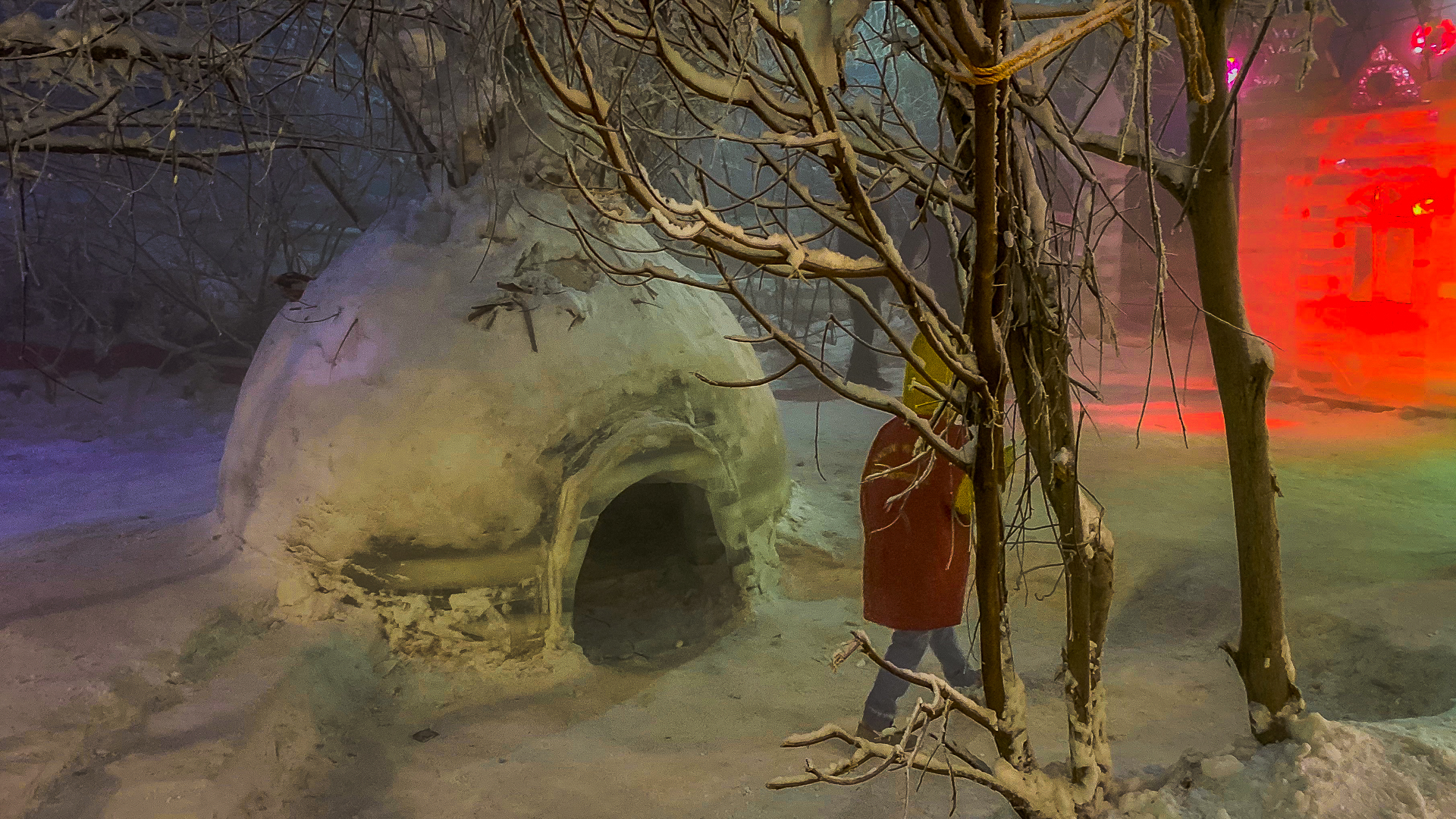 1577274629534-IMG_0869