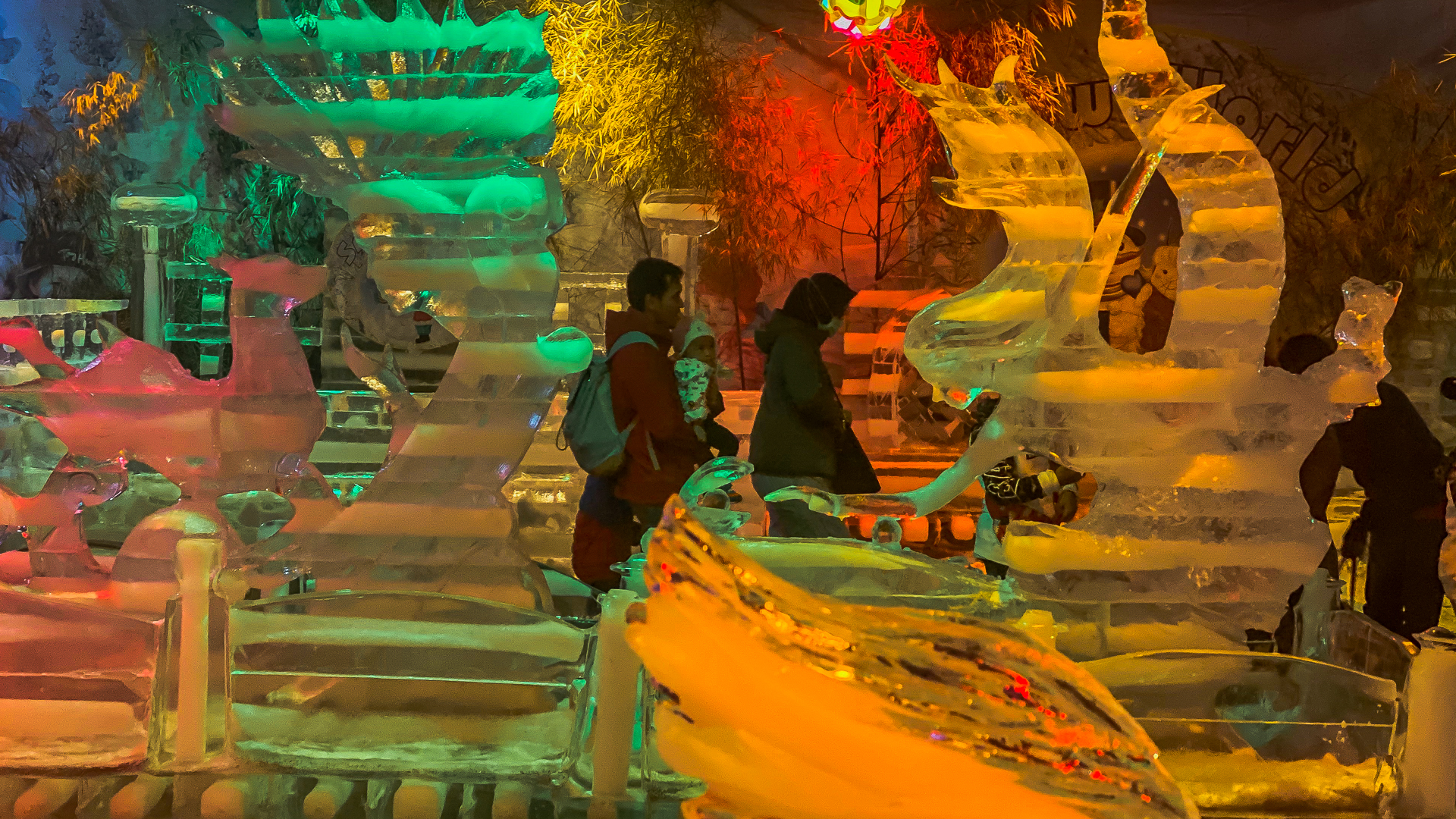 1577274731747-IMG_0881