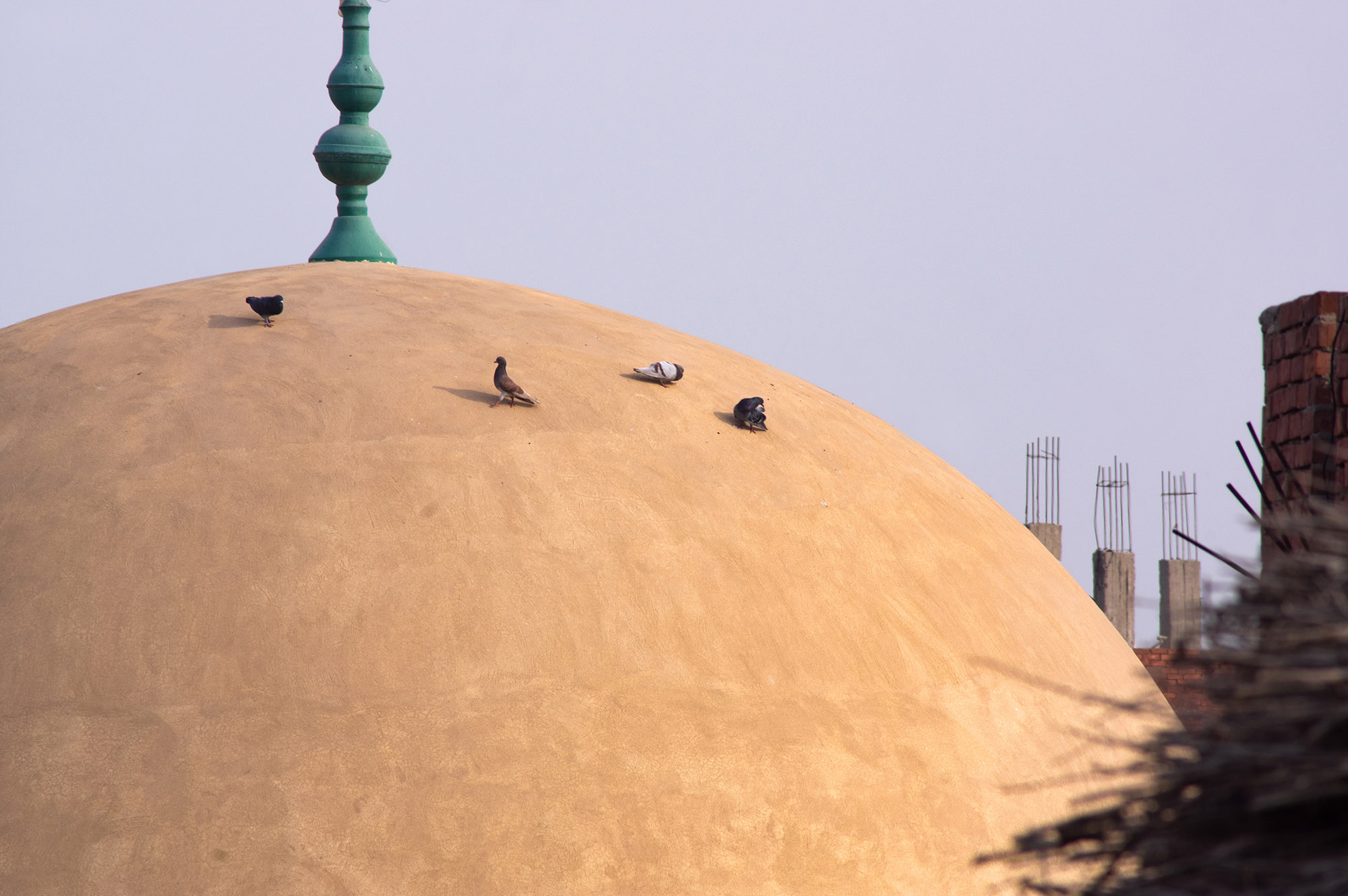 egypte-moskee-duiven