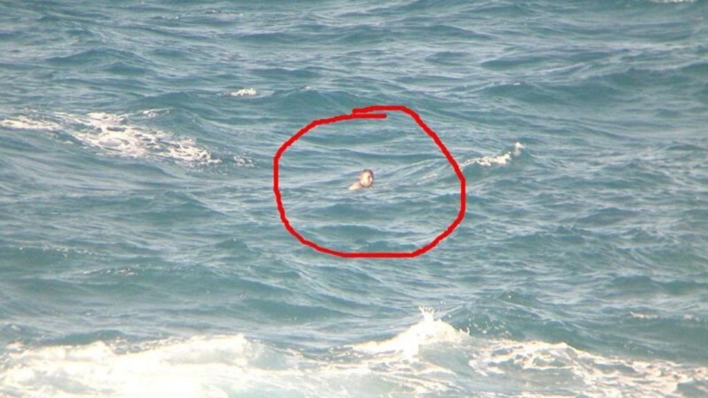 Visa Habis dan Tak Punya Uang, Lelaki Aljazair Nekat Berenang Ke Australia lalu Terdampar di NTT