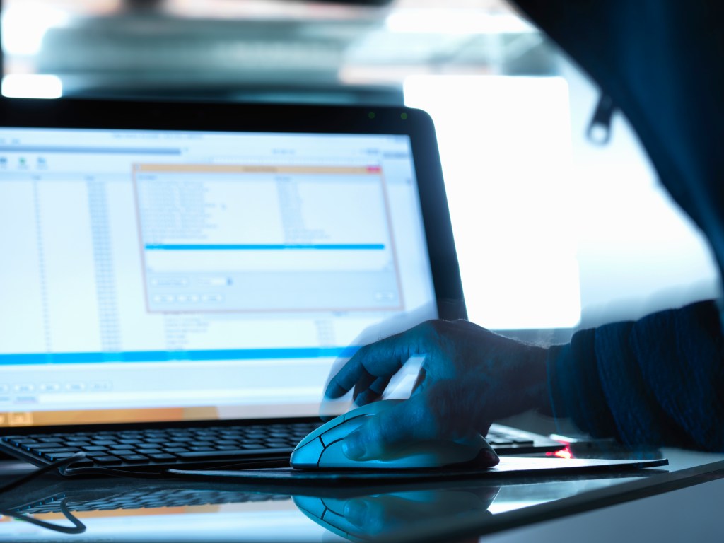 A mouse and computer.