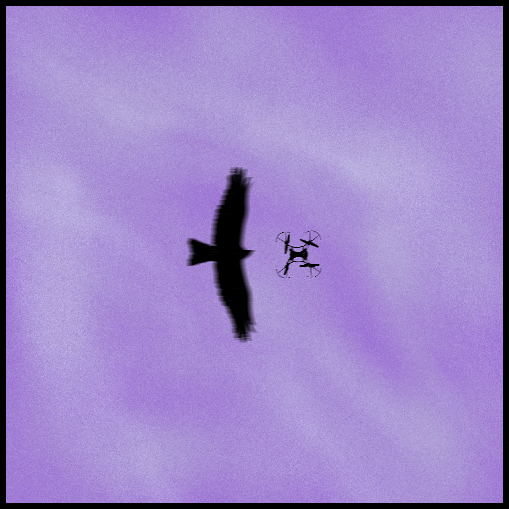 Irbis 37 Un altro cielo