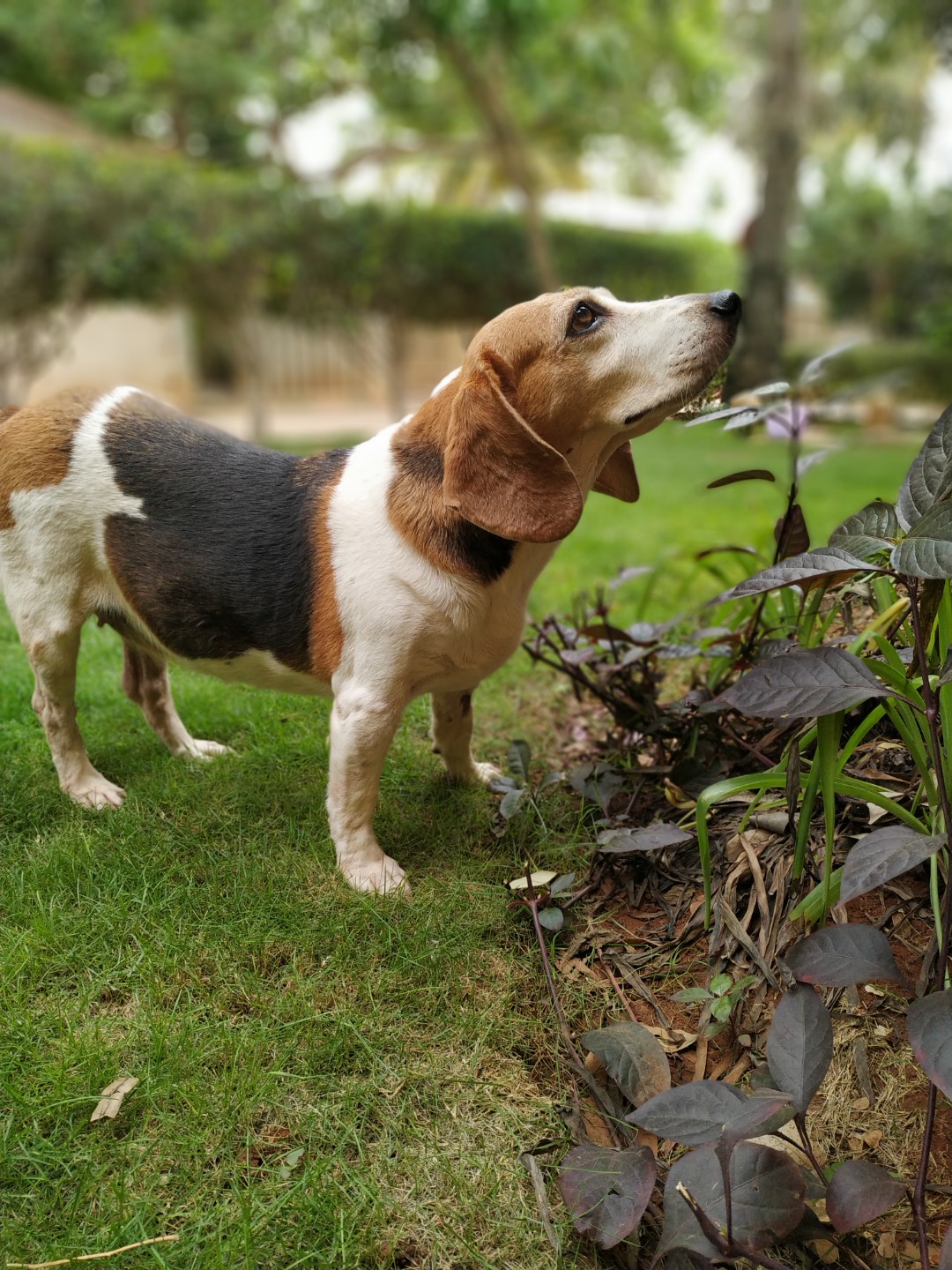 1586342799116-IMG_20190612_122108