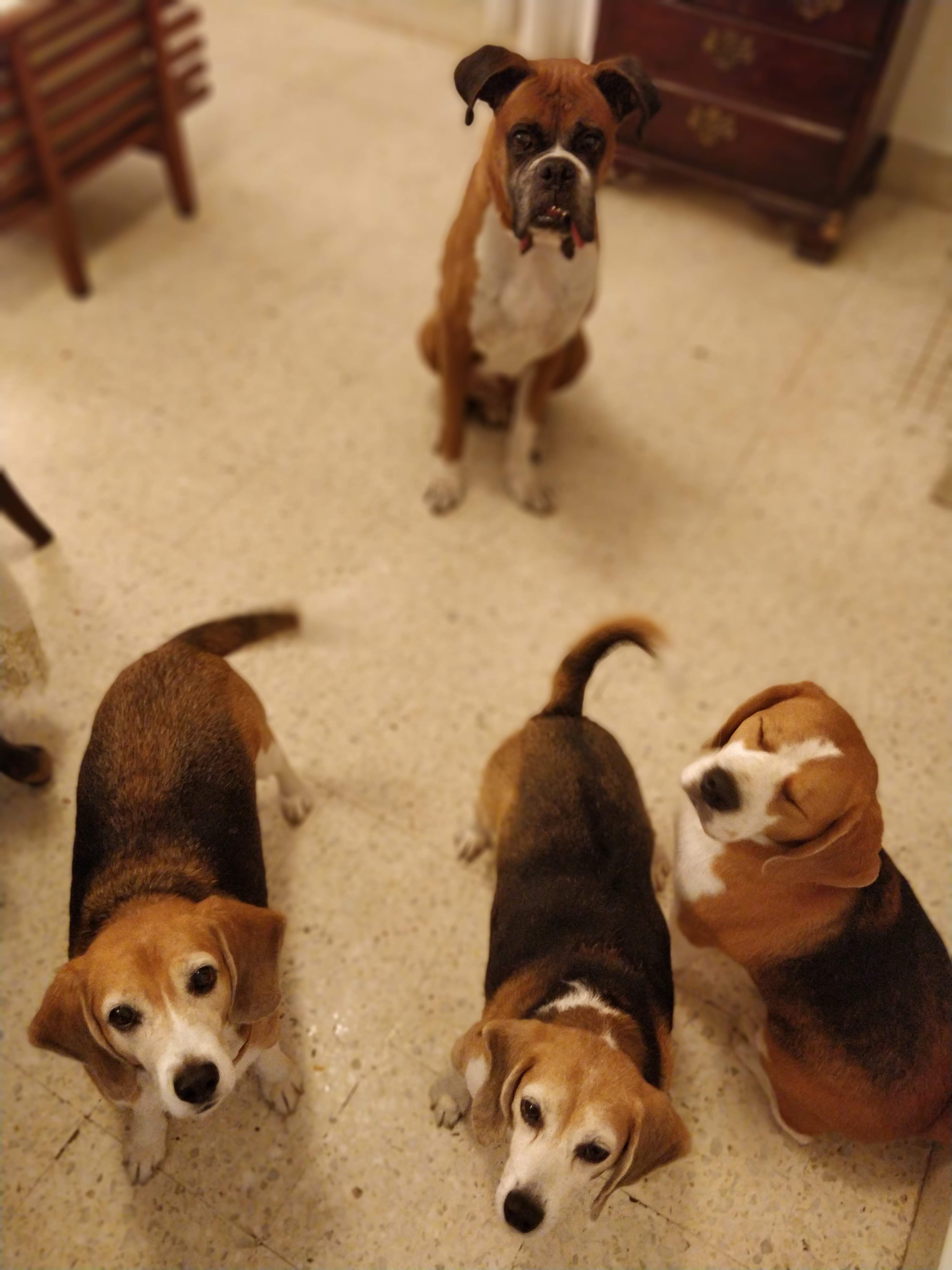 1586342899292-IMG_20181106_193605_Bokeh