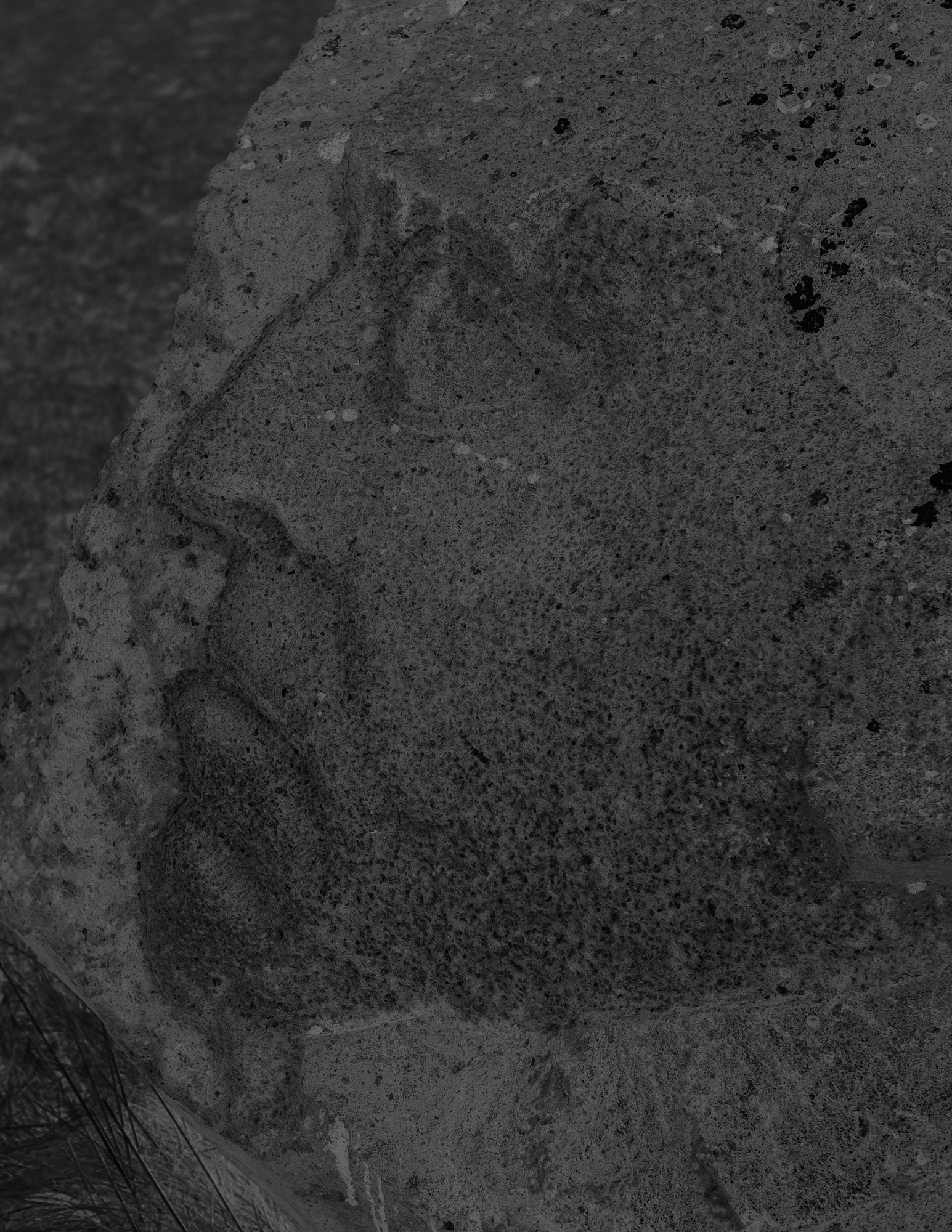 Black and white face