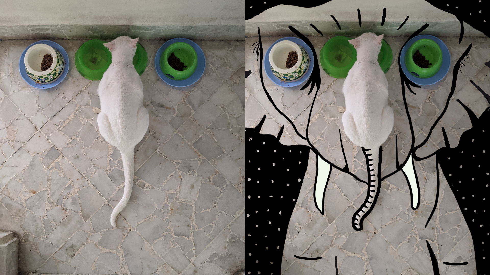 1587624056381-FotoJet-2020-04-23T121041640