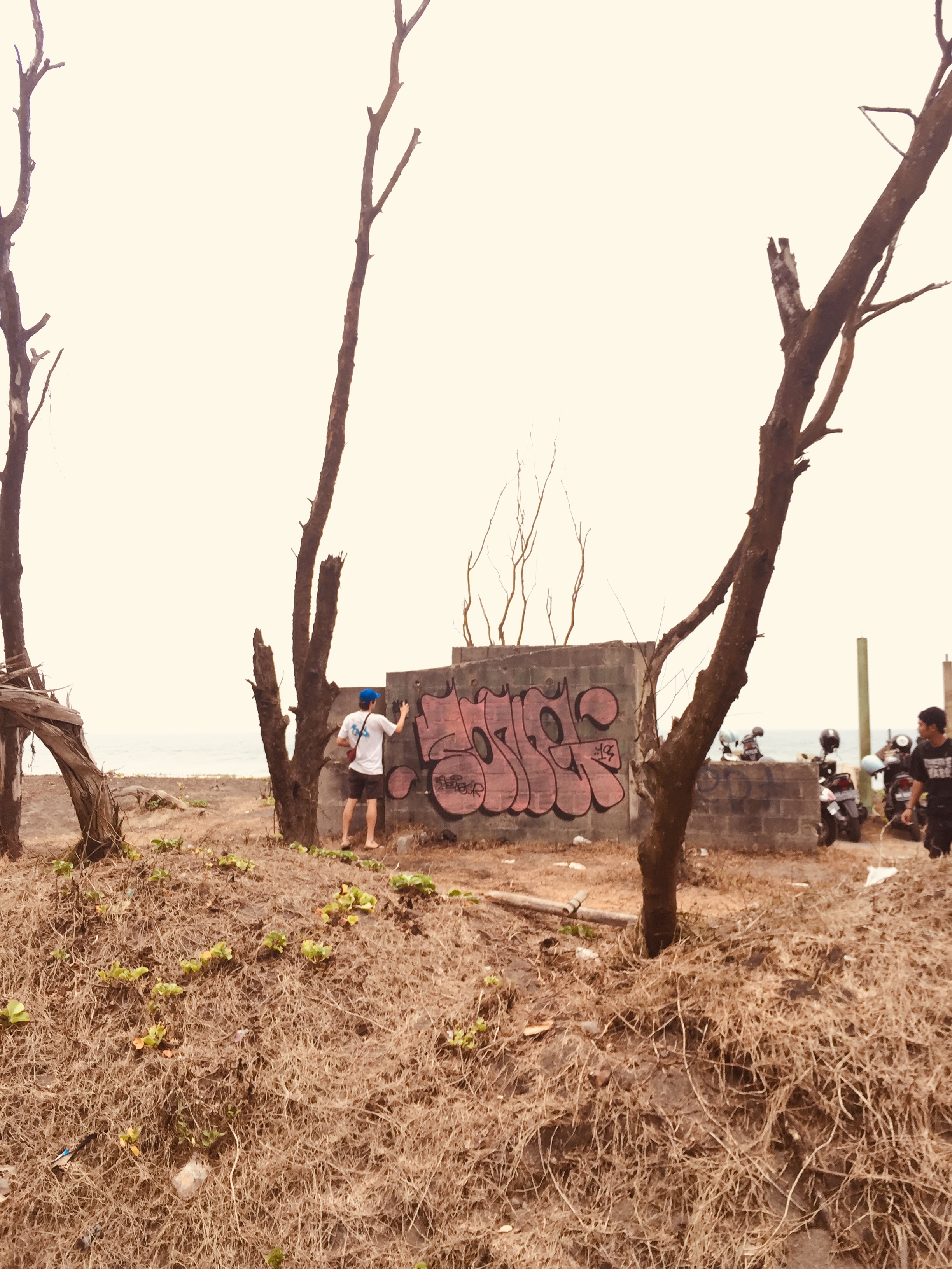 Vice Radar, On Our Radar, VICE, VICE Asia, Singapore, Song, RSCLS, Graffiti, Art, Vandalism, Caning, Caned, Corporal Punishment, Statement, Spray Paint, Art works, Paint, Arab Street, Singapore Art Scene, Balloon Font, Font, Throw Ups, Sketching, Tra