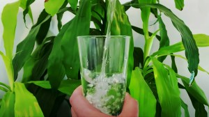 Warm water won't save you from the coronavirus.