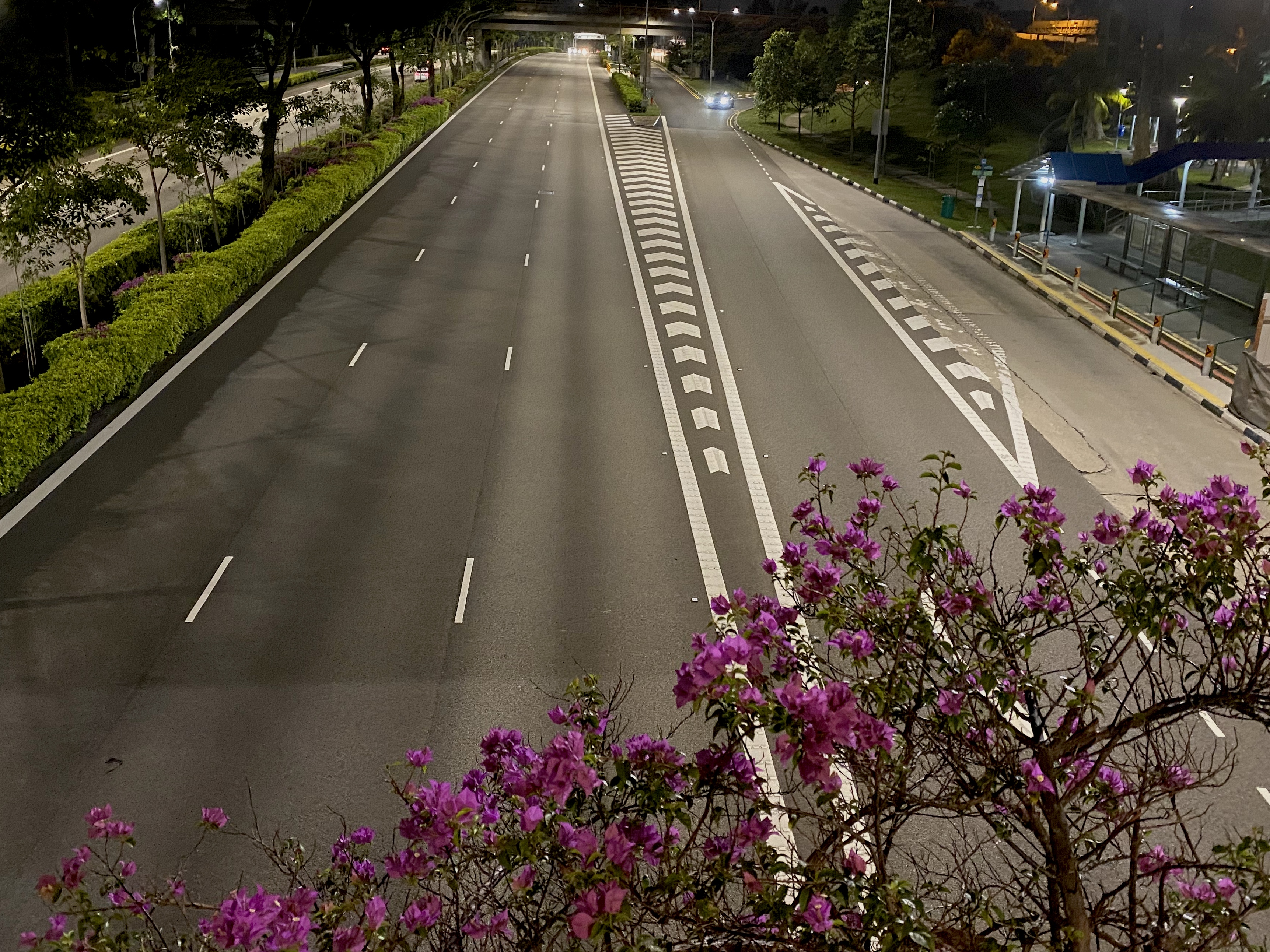 1588919791502-IMG_3519