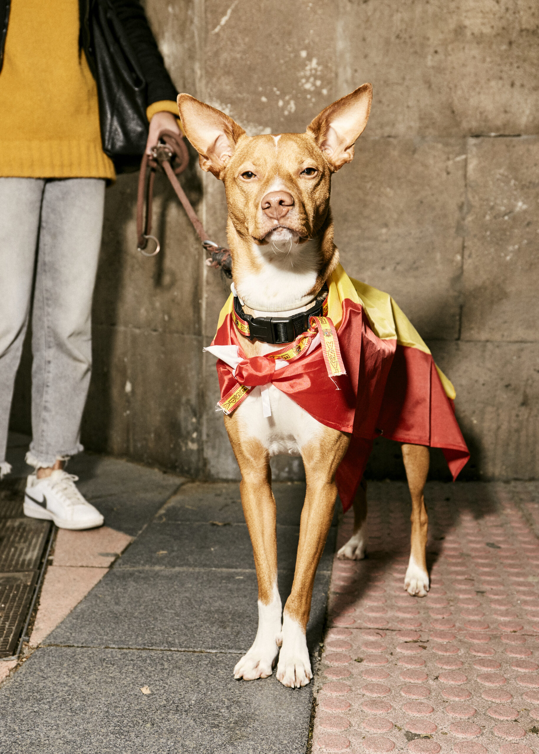 1589524971063-mayo20_vice_nunezdebalboa-15