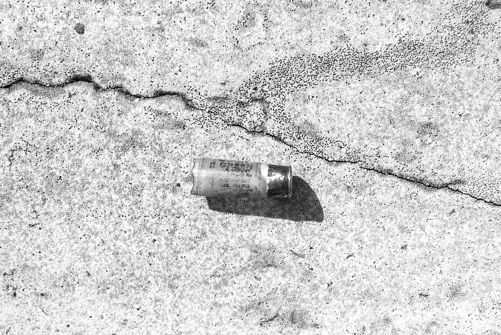 1590962883997-Photo-May-31-8-02-40-AM