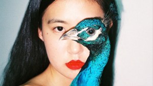 누드 사진, 포토그래퍼, 순수, 사진작가