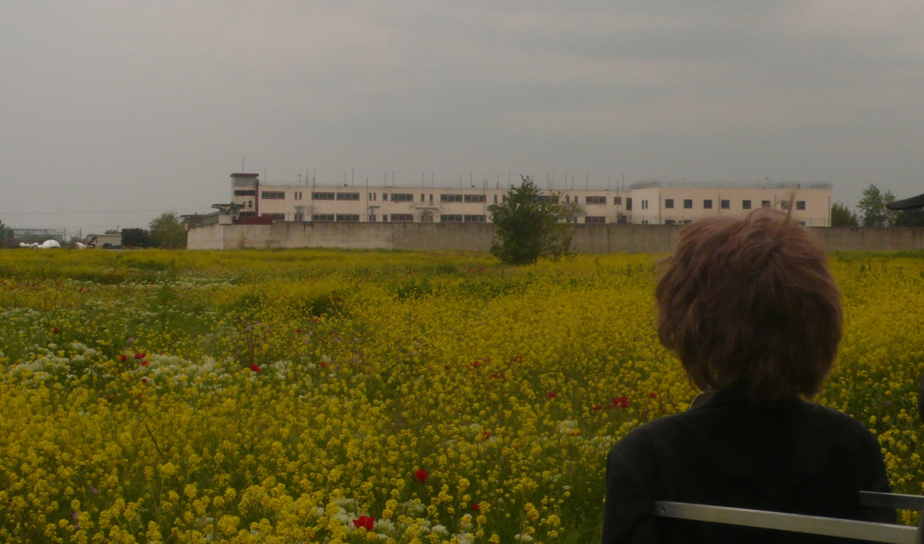 1593609923219-5-Zygoyrh-ergo