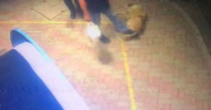 komotini-vrethike-antras-klotsise-xoris-logo-adespoto-kathotan-epivlithike-30000-euro-prostimo-600x315