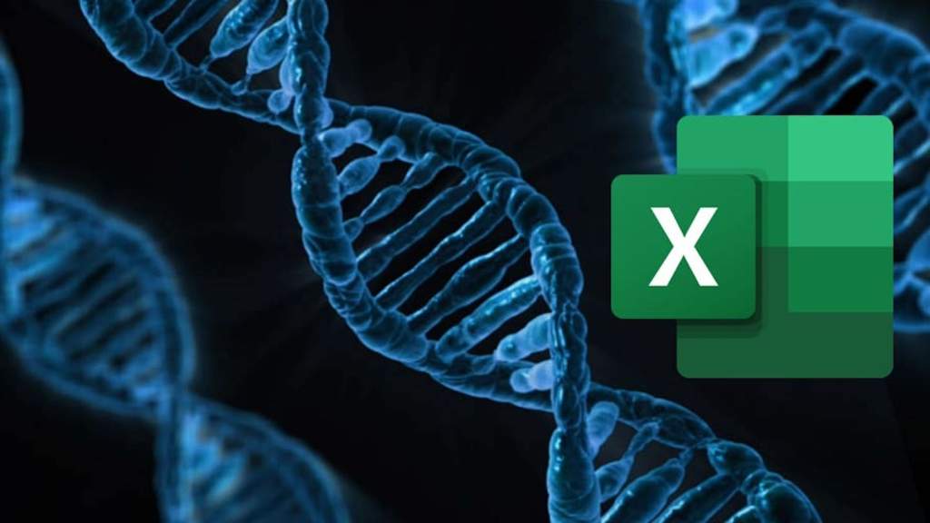 dna excel