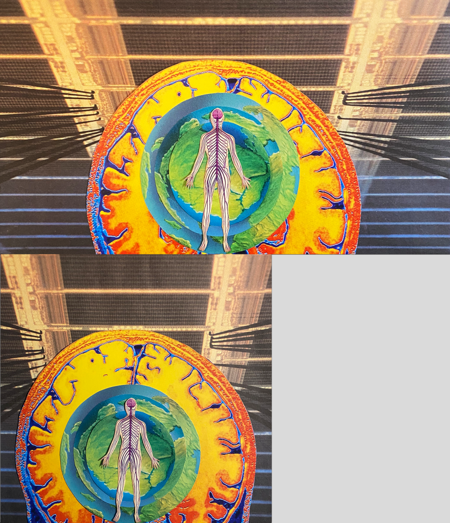 corps humain et scanner cérébral